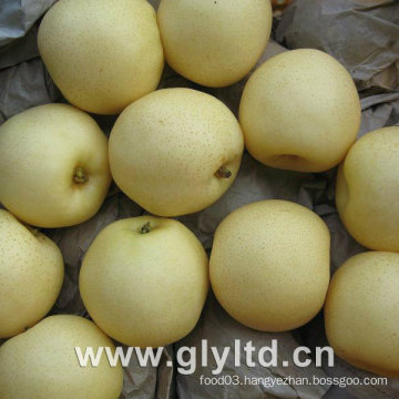 Ya Pear, Golden Pear, Crown Pear New Crop